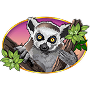 Lemur Lemur